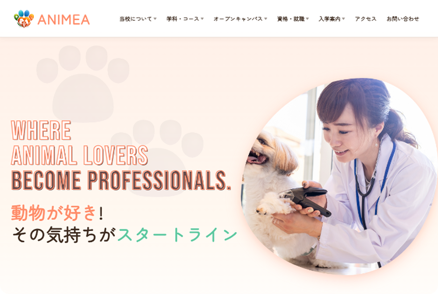 動物医療専門学校